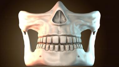 3D model MS_1384 (STL)