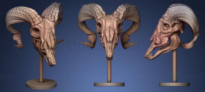 printready goat skull