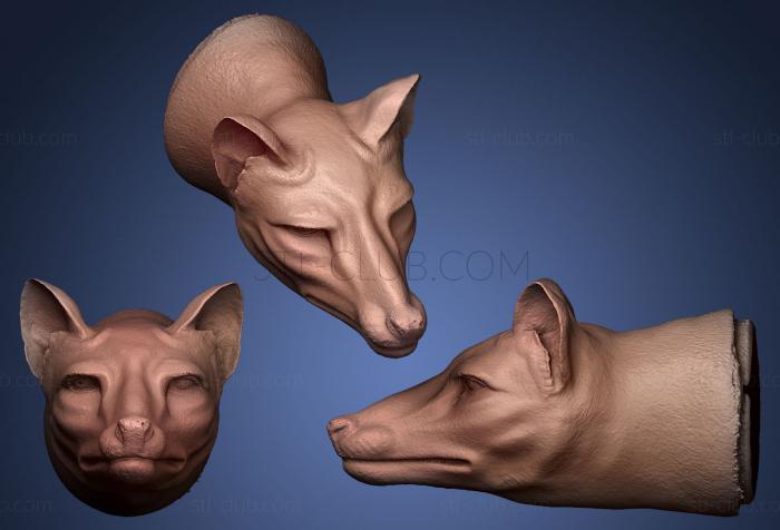 Thylacine wax sculpt