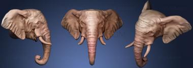 3D model African Elephant Head  Low Poly (STL)