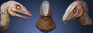 3D model Feathered Dinosaur Head  Velocirator (STL)