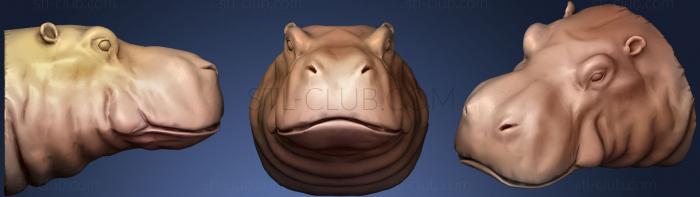 3D model Hippo Head  Low Poly (STL)