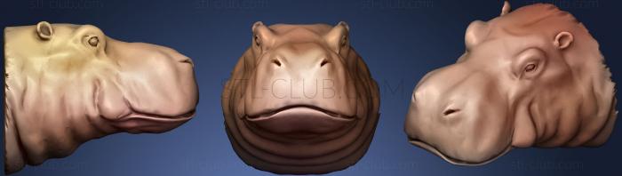 Hippo Head Fridge Magnet