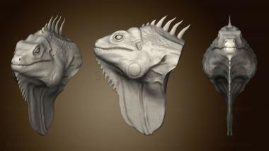 3D model Iguana Head Cabeza Iguana 2 (STL)