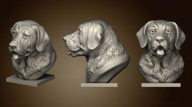 3D model Labrador bust (STL)