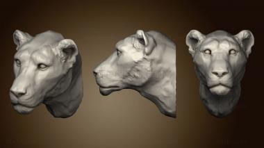 3D model Lioness 2 2 (STL)