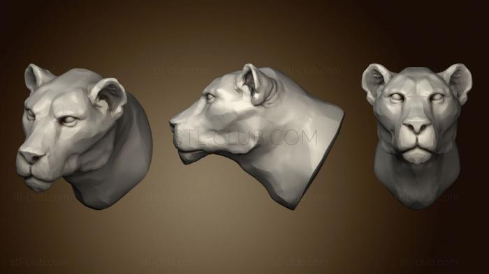 3D model Lioness 2 (STL)