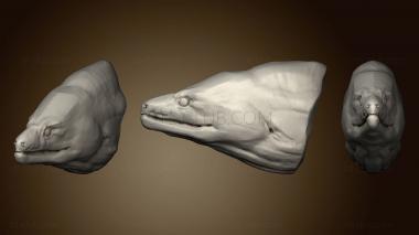 3D model Moray Eel 115 (STL)