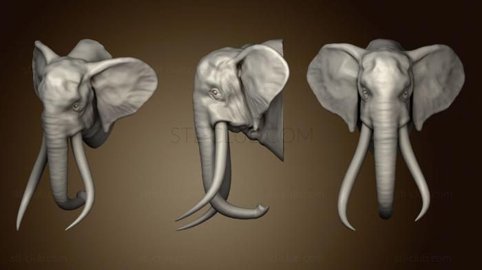 3D model OLD TRUNK ELEPHANT 2 154 (STL)