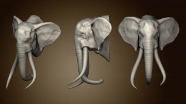 3D model OLD TRUNK ELEPHANT 2 154 (STL)