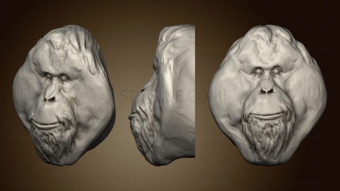 3D model Orangutan 2 (STL)