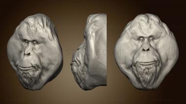 3D model Orangutan 142 (STL)