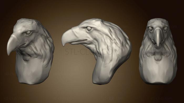 3D model Phillippine Eagle 2 143 (STL)