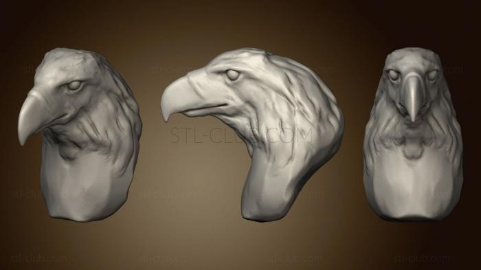 3D model Phillippine Eagle (STL)