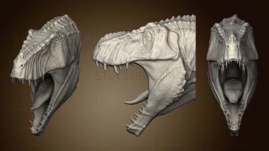 3D мадэль Тираннозавр 1 Голова Для Стены (STL)