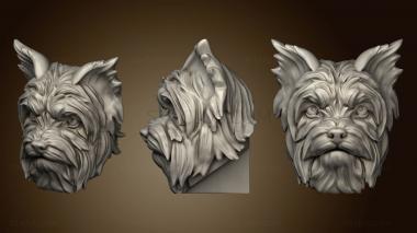 3D model Yorkshire Terrier (STL)