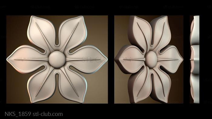 Накладки симметричные NKS_1859