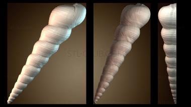 3D модель Улитка (STL)