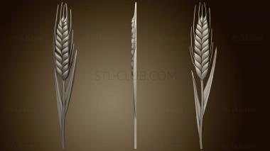 3D model Spikelet (STL)