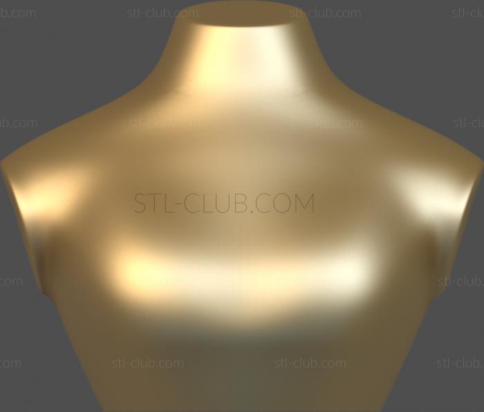 3D model NS_0011 (STL)