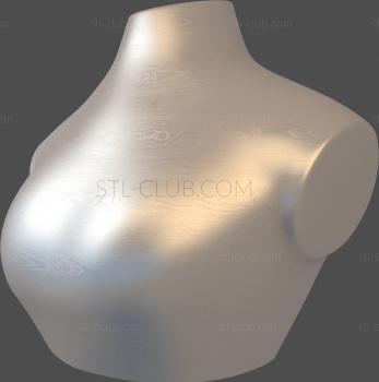 3D model NS_0011 (STL)