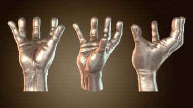 3D model NS_0382 (STL)