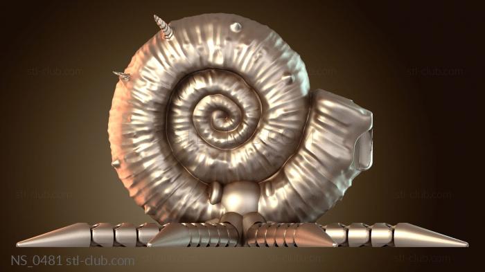 Нестандарт Сочлененная раковина и щупальца аммонита