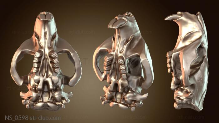 Нестандарт Череп бобра Дерзкий