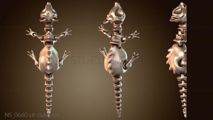 Нестандарт Вариант костной крысы