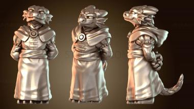 3D мадэль Компания Dragons GirlDragonkin (STL)