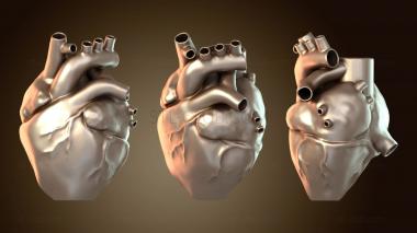 3D model David Corazon Florero Sin Pedestal (STL)