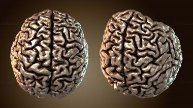 3D model Djinn (STL)