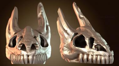 3D мадэль Драконий череп Драконий череп (STL)