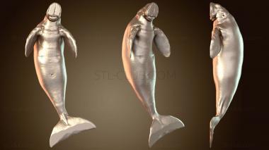3D модель Дюгони едят (STL)