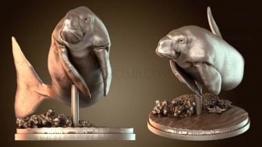 3D модель Дюгонь плавает (STL)