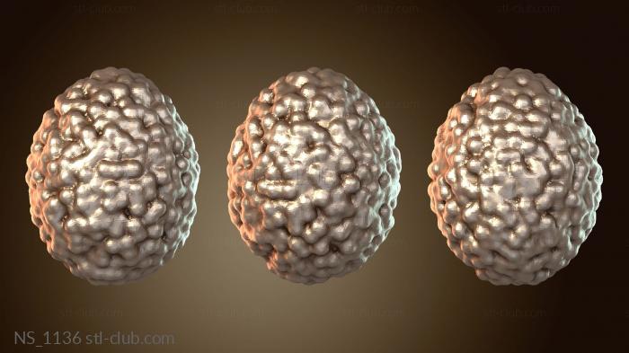 Нестандарт Яйцо – Молекулярное