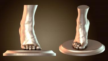 3D мадэль Нога лапа (STL)