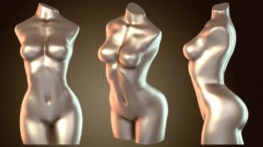 3D model Female Toso (STL)