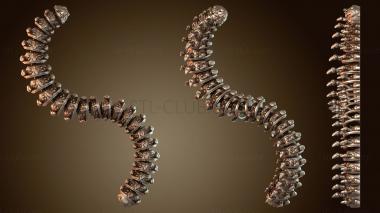 3D model Flexi Botterpillar (STL)