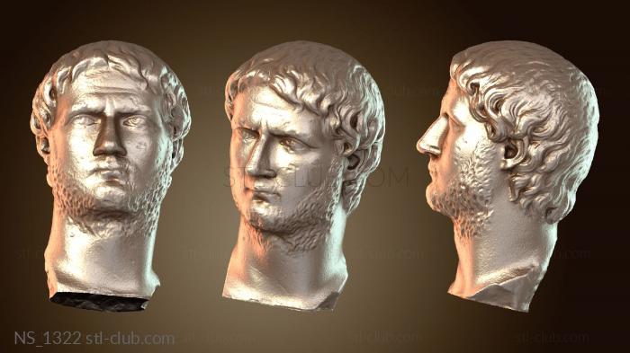 Нестандарт Галльский император