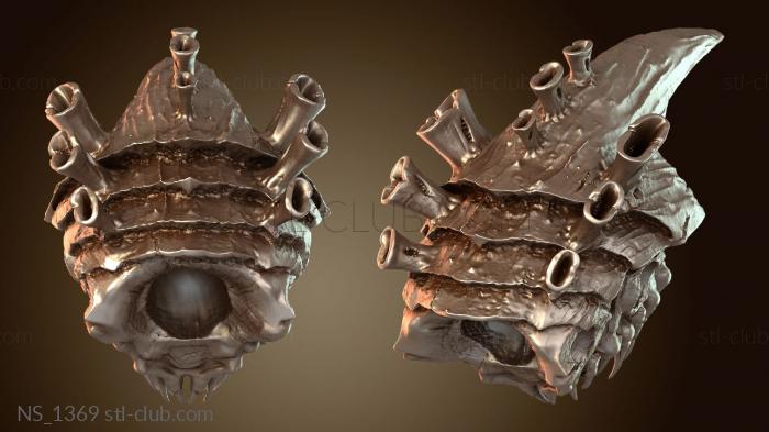 Гладиатор Ксенобаг Торс