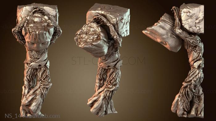 Нестандарт Groot Sonador Sonhador