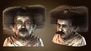 3D model Hairy Einstien (STL)