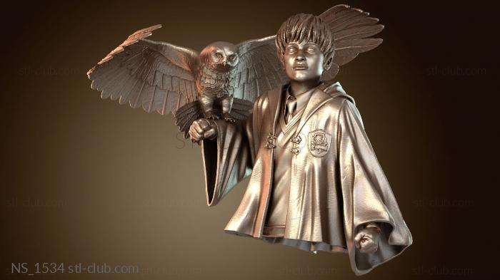 Нестандарт Хогвартс Гарри Поттер с плащом