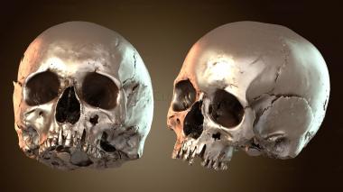 3D модель Человеческий череп (STL)