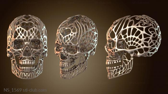 Нестандарт Альтернативный вариант человеческого черепа