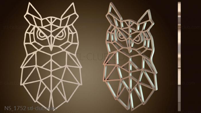 Нестандарт Lechuzas Owl D nocturnal