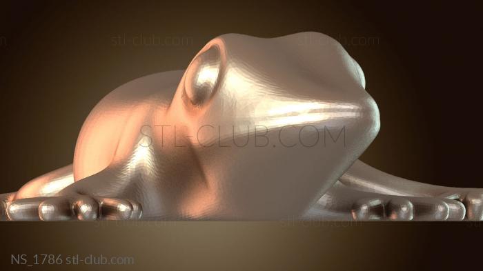 Нестандарт Лезард Порте Кле