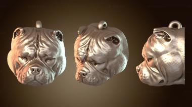 3D модель Льяверо Булли (STL)