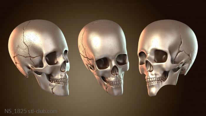 Нестандарт Любовь Смерть